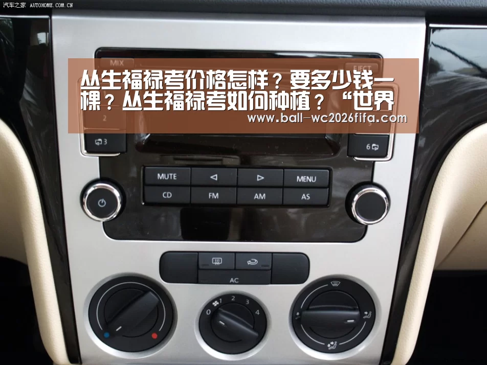 世界杯买球