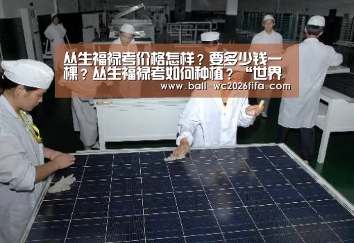 世界杯下注