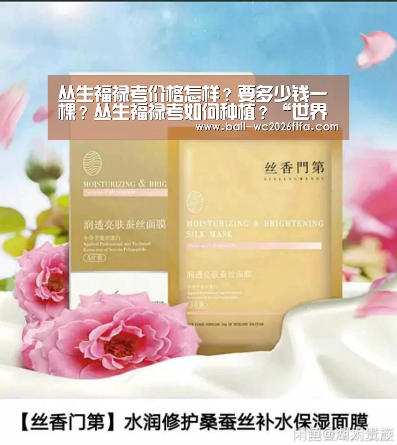 世界杯下注