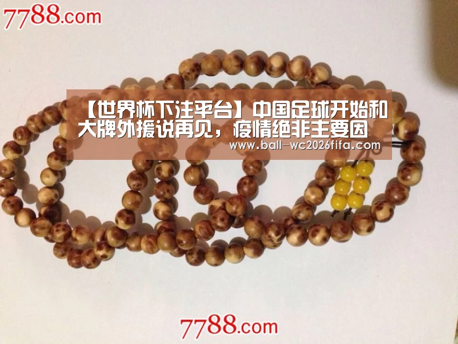 【世界杯下注平台】中国足球开始和大牌外援说再见,疫情绝非主要因素……(图1) 世界杯买球