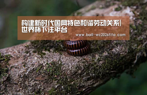 世界杯买球