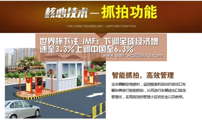 世界杯下注_IMF:下调全球经济增速至3.3%上调中国至6.3%(图4) 世界杯买球