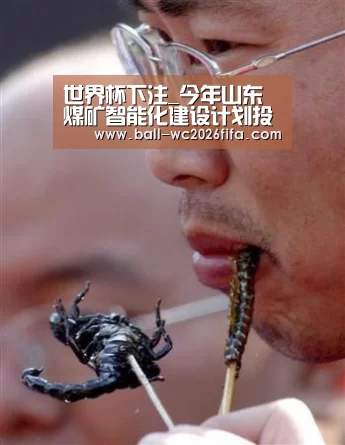 世界杯买球