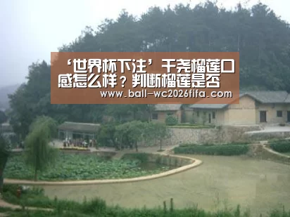 ‘世界杯下注’干尧榴莲口感怎么样?判断榴莲是否成熟的六个技巧!(图1) 世界杯下注平台