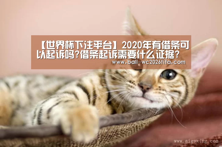 世界杯下注平台