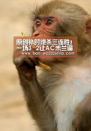 世界杯买球