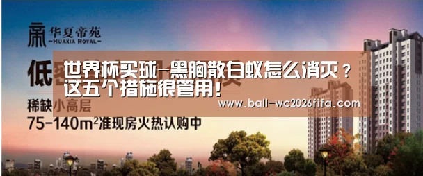 世界杯买球